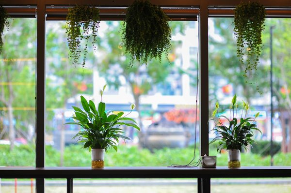 Echangesetrencontres