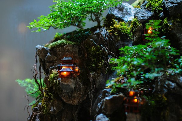 Comment les festivals contribuent à l'enrichissement et à la célébration de la diversité culturelle